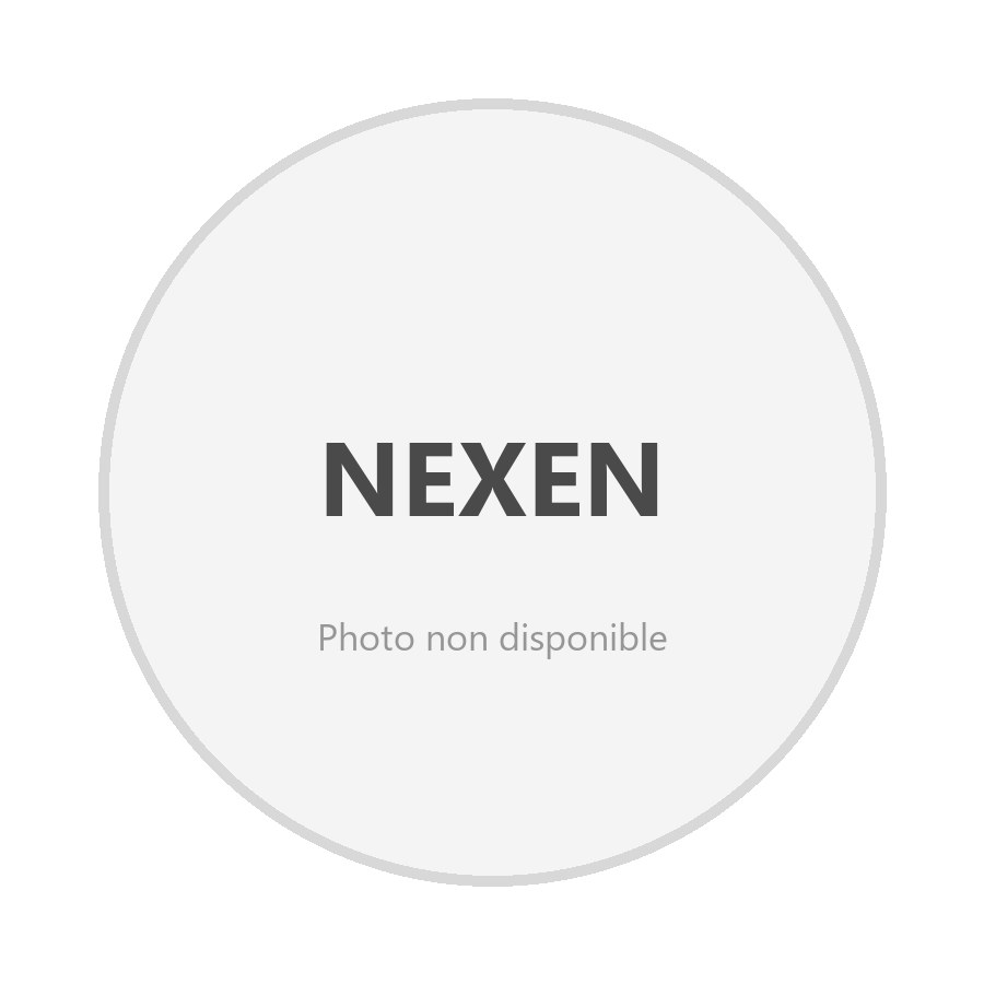 NEXEN 225/55R 17 101W N`Blue 4Season-2 XL FSL EXTRA LOAD