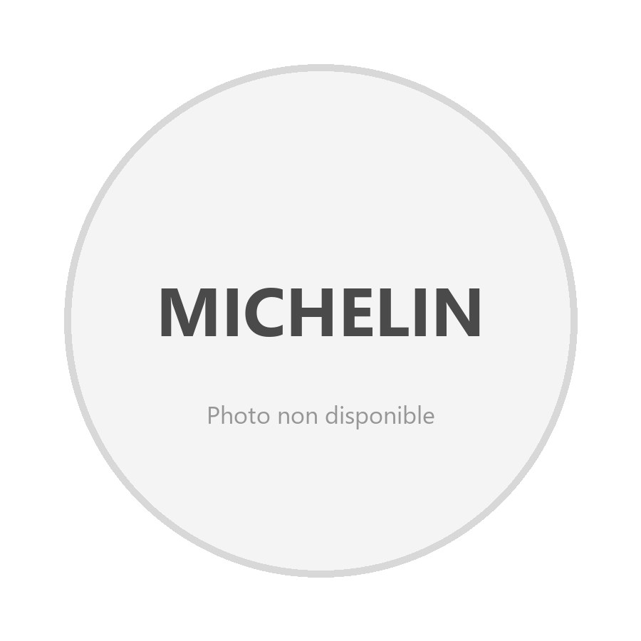 MICHELIN 235/40R 19 92V TL Pi.Alp.PA-4 N0 FSL PORSCHE-AUSFÜHRUNG