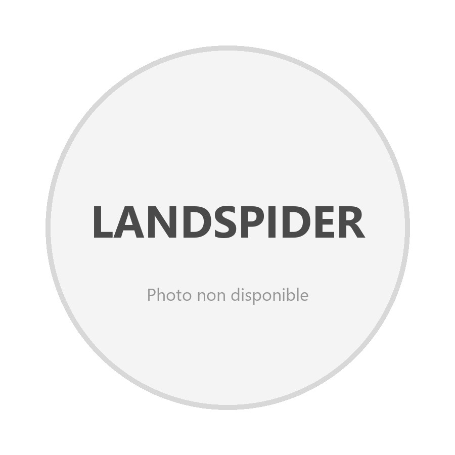 LANDSPIDER 215/60R 16 99H TL Snowtraxx H/P XL EXTRA LOAD